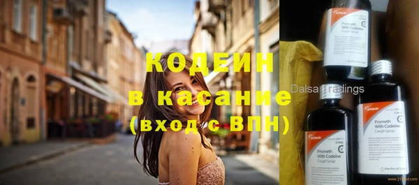 хмурый Алзамай
