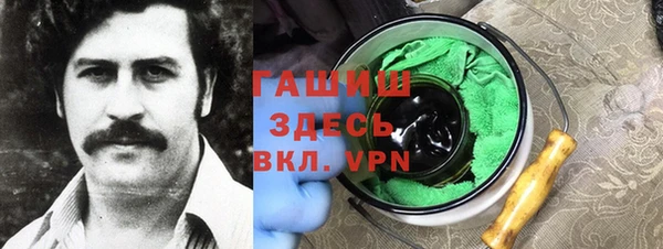 хмурый Алзамай