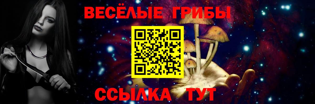 Лесосибирск  Псилоцибиновые грибы мицелий  Вход с VPN 