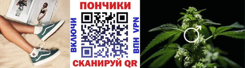 где найти Лесосибирск МАРИХУАНА SATIVA & INDICA